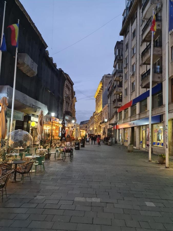 Color Ap Calea Victoriei 12C Lägenhet Bukarest Exteriör bild